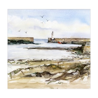 Donaghadee Harbour (57)-min Donaghadee Harbour (57)-min